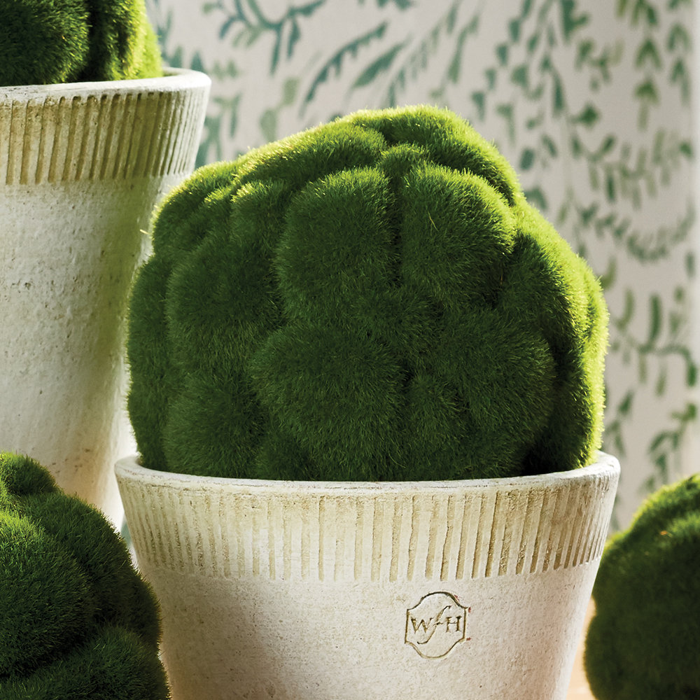 Preserved Mood Moss Orb 5.5 in.