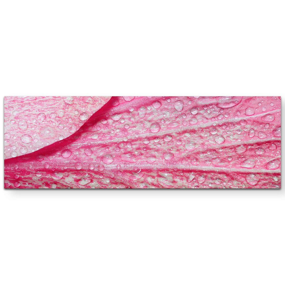 Leinwandbild Pinke Blume – Nahaufnahme