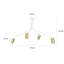 Ciccone Spotlight-1612555248