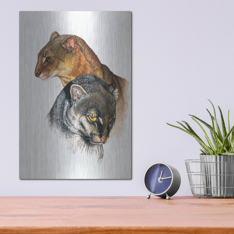 «Jaguarundi» par Barbara Keith, H 16 po x l 12 po
