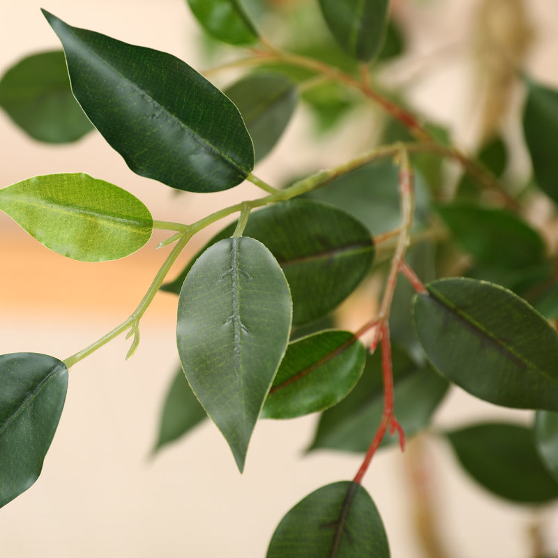 Adcock 8ft Artificial Ficus Tree with 18in White Planter, Tall Faux Ficus Tree for Outdoor