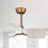 Haywa 28'' Ceiling Fan with LED Lights