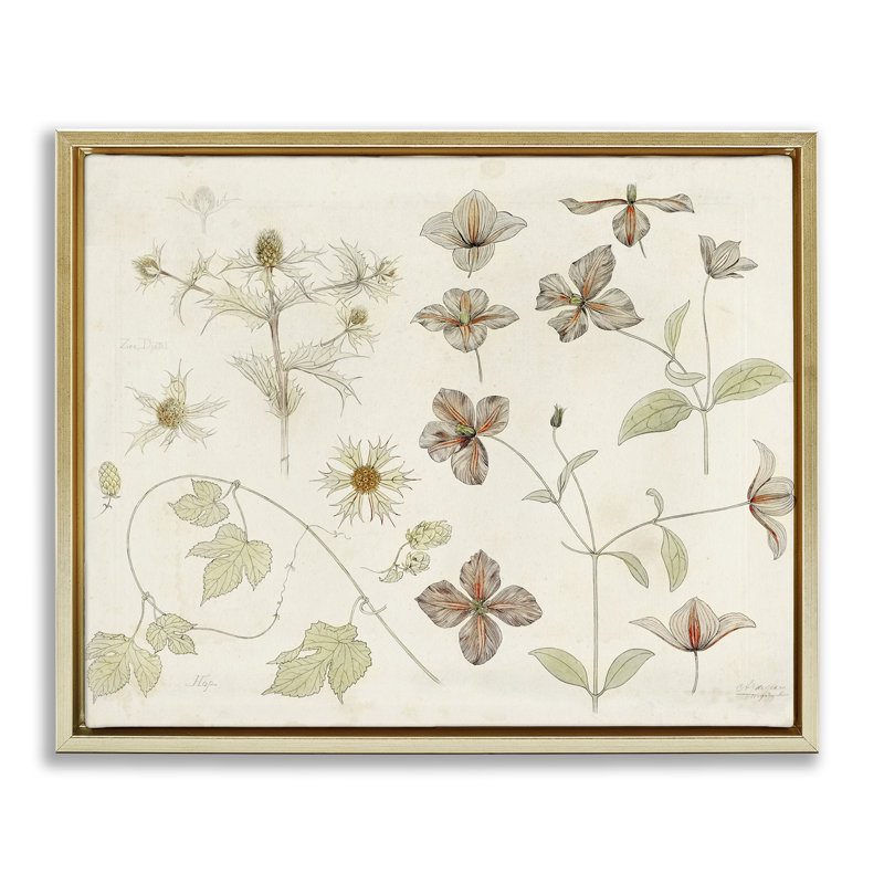 Nature Botanical Study Floating Frame, design by Julie de Graag, 25" H x 31" W, Metallic Gold Floater Frame