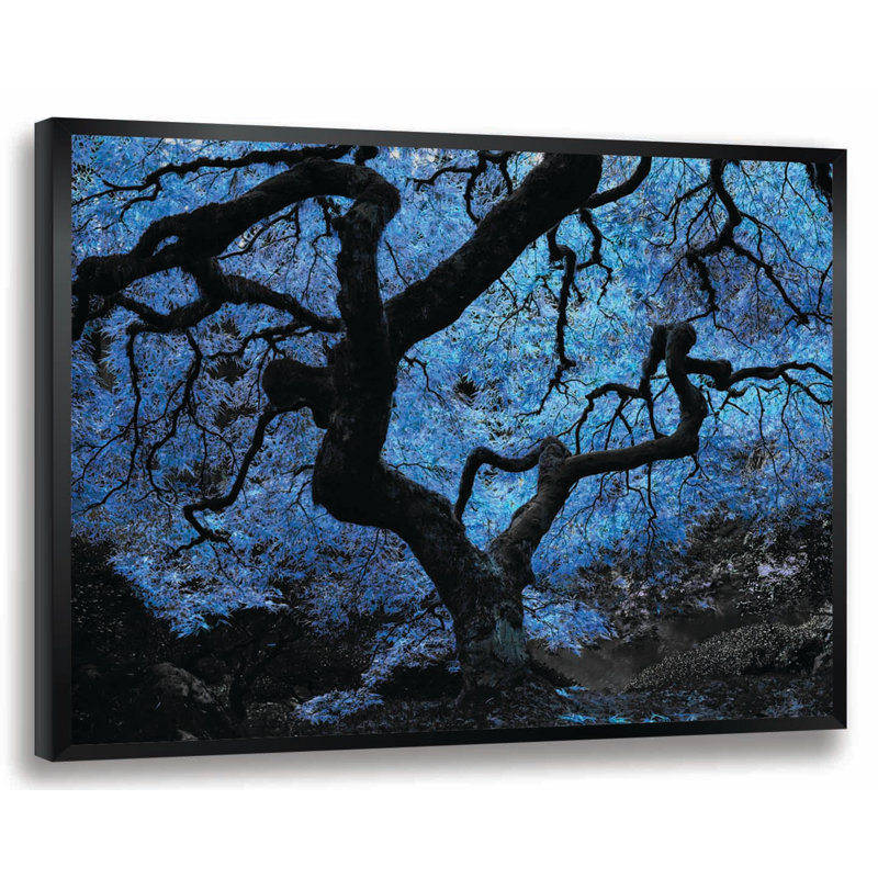 « japanese érable tree », reproduction d’impression encadrée en bleu, H 22 po x l 28 po