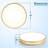15 Inch Gold Modern Flush Mount Ceiling Light