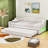 Twin XL Daybed with Trundle and LED-1837734406