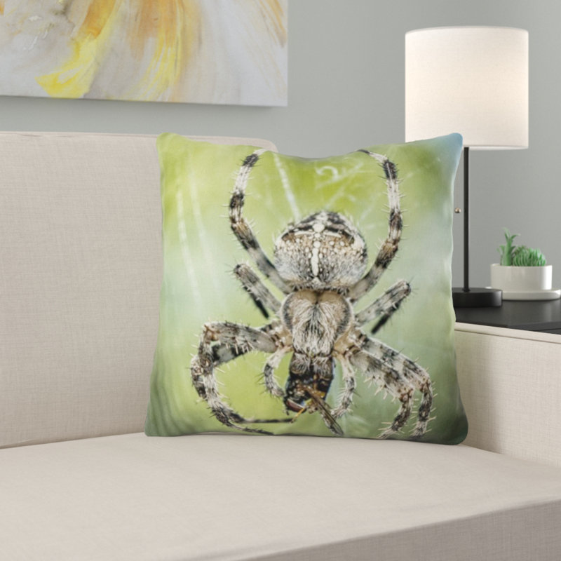 Coussin de spider