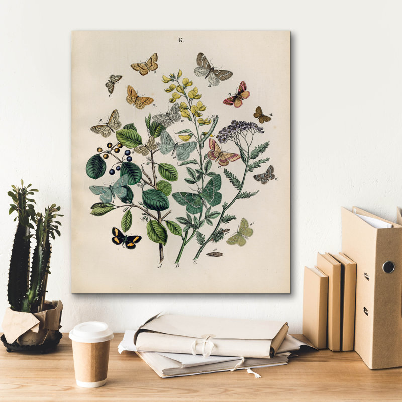 «Papillion - Butterflies» par Art Licensing Studio, art mural sur toile, H 24 po x l 20 po x P 0,75 po