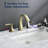 Widespread 2-handle Bathroom Faucet with Drain Assembly-58689373