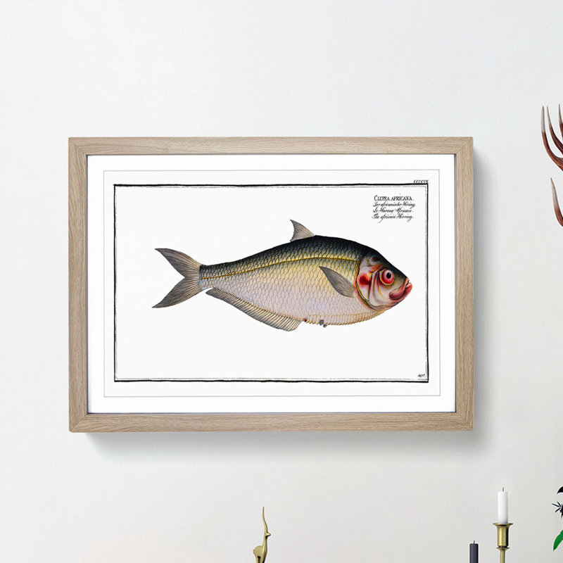 African Herring Fish by M.E. Bloch - Single Picture Frame Painting, 24cm H x 33cm W x 2cm D, Oak Framed