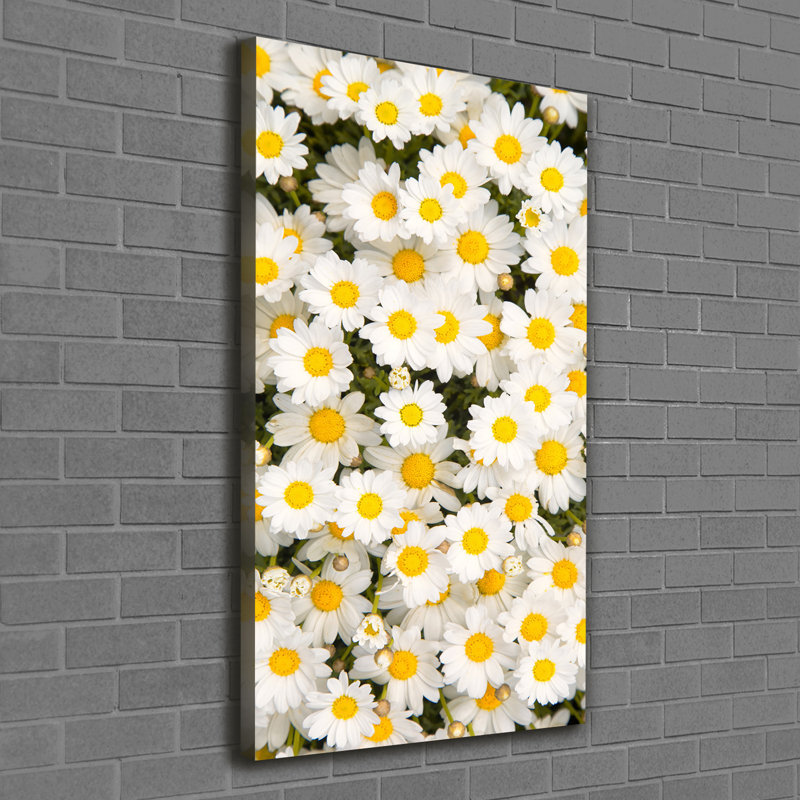 Daisy Flowers - Wrapped Canvas Print