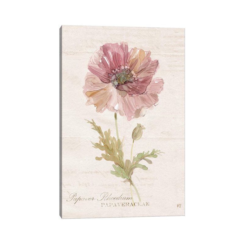 Soft Poppy by Carol Robinson - Painting on Canvas, Wrapped Canvas, 30.48 cm H x 45.72 cm W