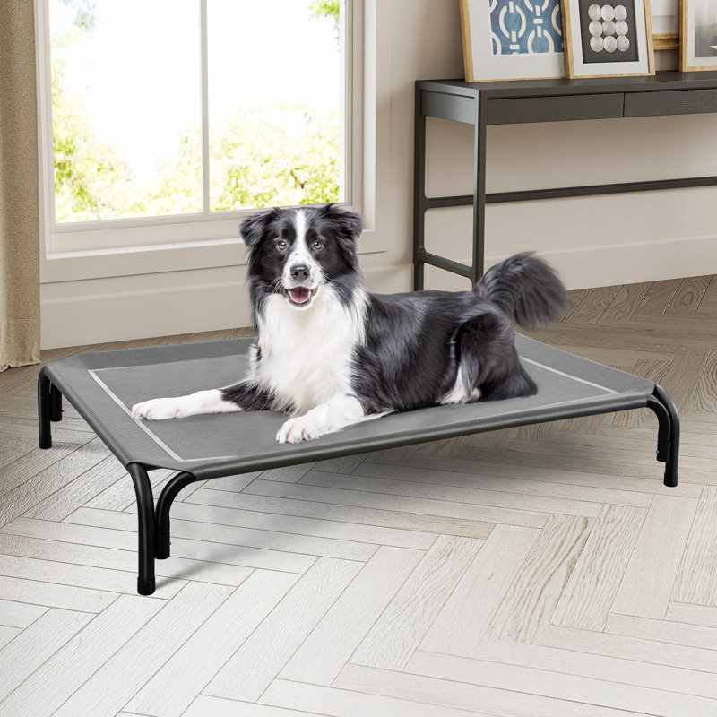 Lit pour chien surélevé intérieur / extérieur avec pieds antidérapants, TG, Gris