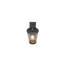 Evelore Outdoor Armed Sconce