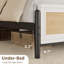Queen Rattan Platform Bed Frame, Wooden Bed with Rattan Headboard & Footboard, No Box Spring Needed, White-130063403