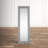 Olancha Metal Flat Floor Mirror