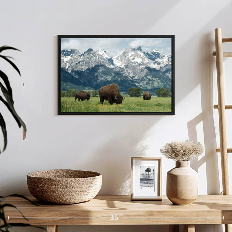 Bison Teton broutant, 19 po x 13 po, Cadre flottant noir