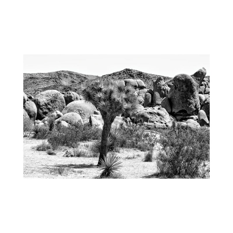 Joshua Tree National Park III by Philippe Hugonnard - Wrapped Canvas Print, 101.6 cm H x 66.04 cm W x 1.91 cm D