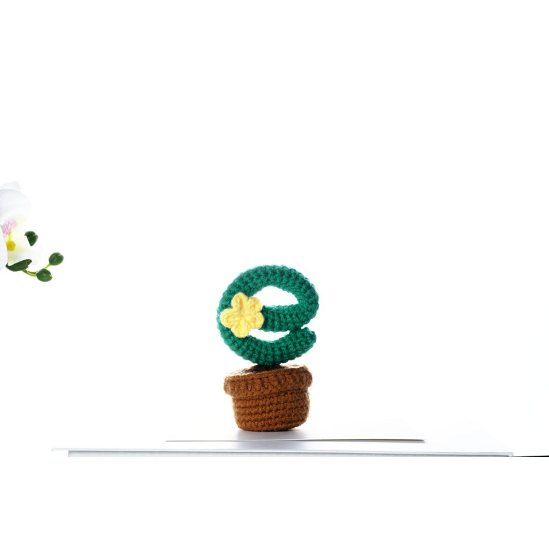 Fleurs en pot Amigurumi DIY Kit au crochet Wizardi F07N8-M18