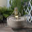 15" H Meditating Frog Water Fountain W/LEDs
