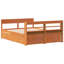 Storage Bed-245056663-245056657