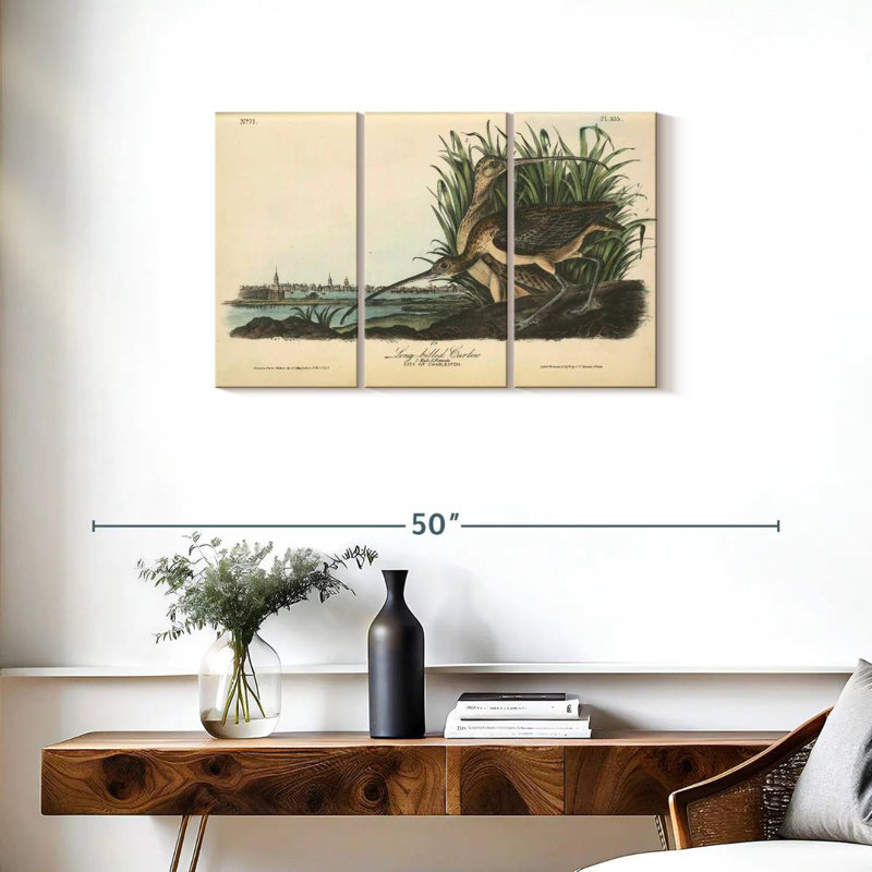 Brampt Long-Billed Curlew, 20" H x 33" W