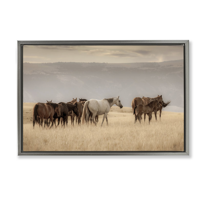Cadre flottant équestre Montana Herd, design par Christy Berry, H 21 po x l 31 po, Cadre flottant gris lustré