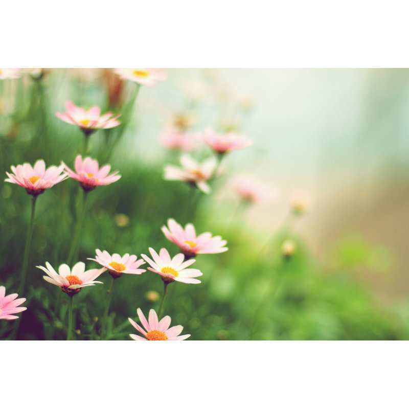 Margaret Flowers - Wrapped Canvas Print, 61cm H x 91cm W x 3.8cm D