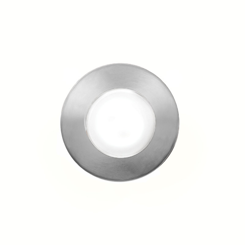 LED Well Light, Stainless Steel