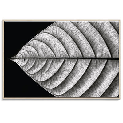 Print on Canvas