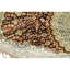 Silk Oriental Area Rug