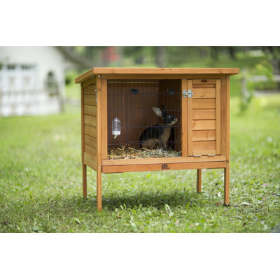 Brasia Weather Resistant Rabbit Hutch