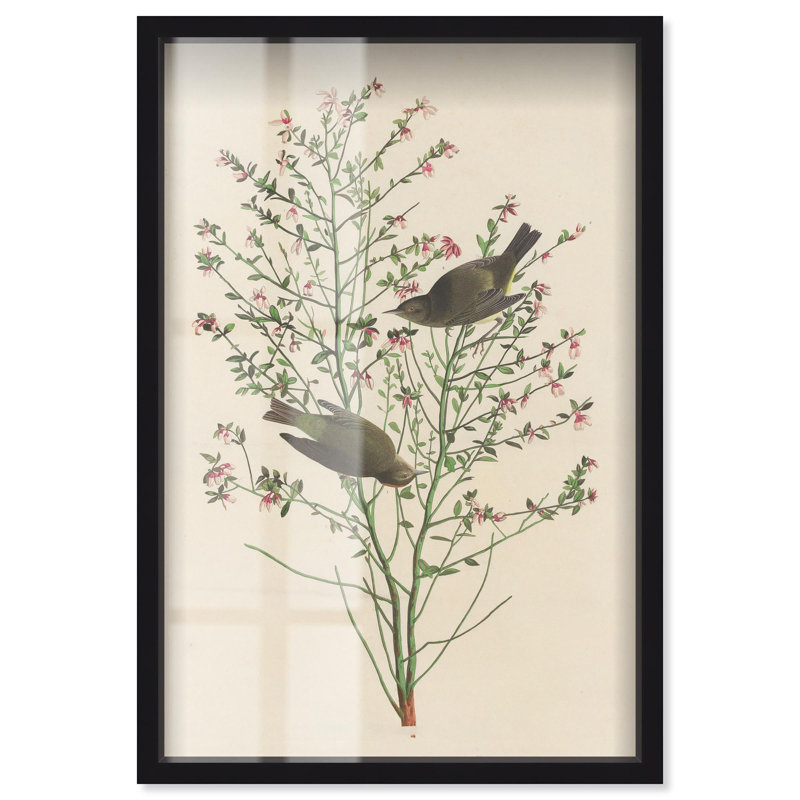 Art botanique Airy Thicket Shadowbox par Art Remedy, H 16 po x l 11 po, Noir