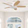 Low Profile 42" 5 - Blade Flush Mount Small Room Ceiling Fan with LED Light and Remote