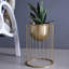 Plant Stand