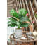 Ensemble de 2 fausses plantes en pot artificielles pour bureau