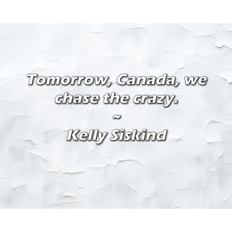 Citation de Kelly Siskind: Demain, Canada, nous chassons les fous., H 20 po x l 24 po