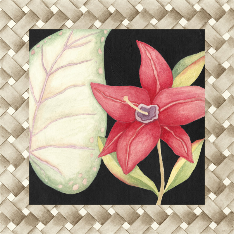 Midnight Garden II by Megan Meagher - Wrapped Canvas Print, 30cm H x 30cm W