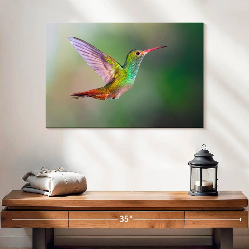 Colibri iridescent, H 16 po x l 24 po