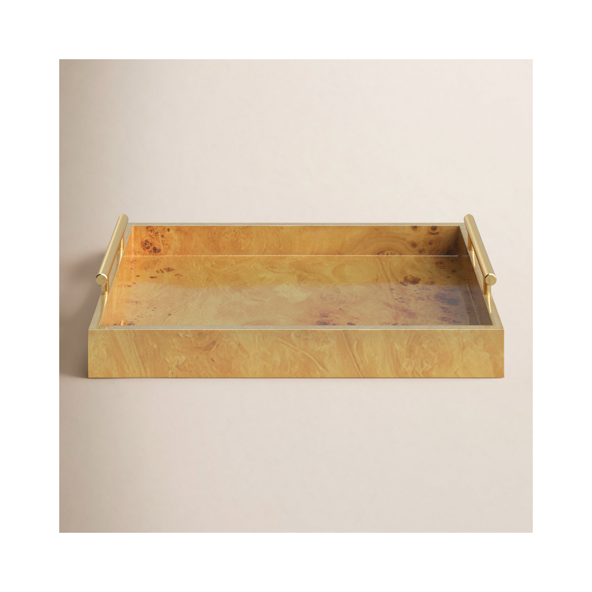 Niara Modern Tray - Set of 1, 2.5" H x 13" D x 9.5" W