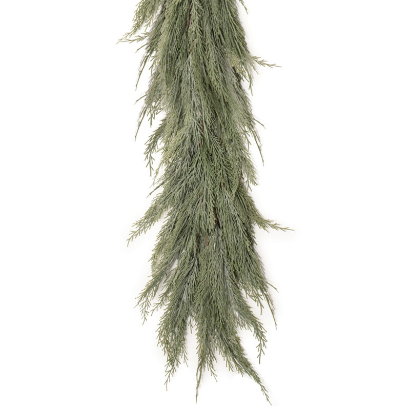 Variegated Pine Vine