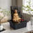 Buddha Fountain