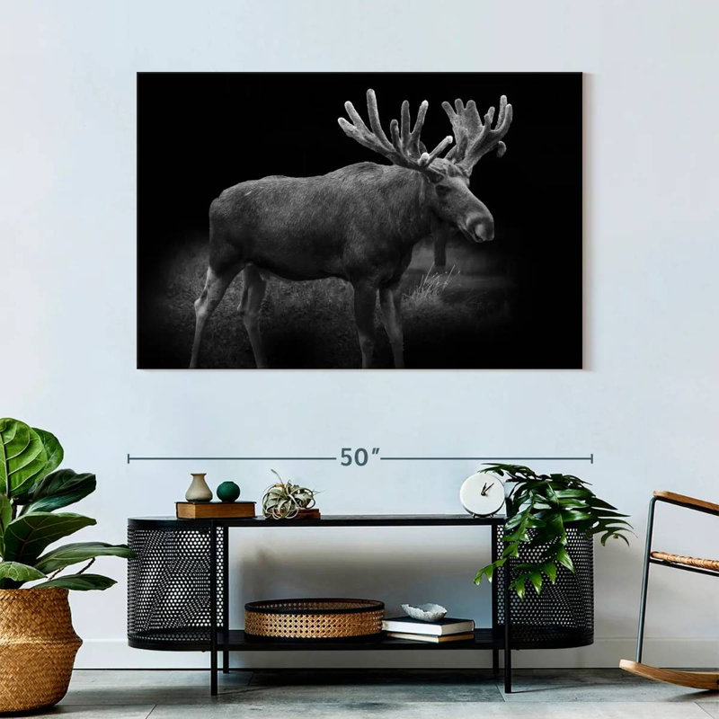 Brampt Monochromatic Bull Moose, 32" H x 48" W