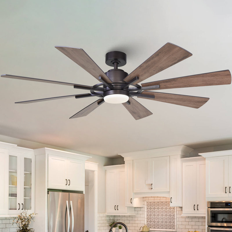Lisa 60'' Ceiling Fan with LED Lights, Black