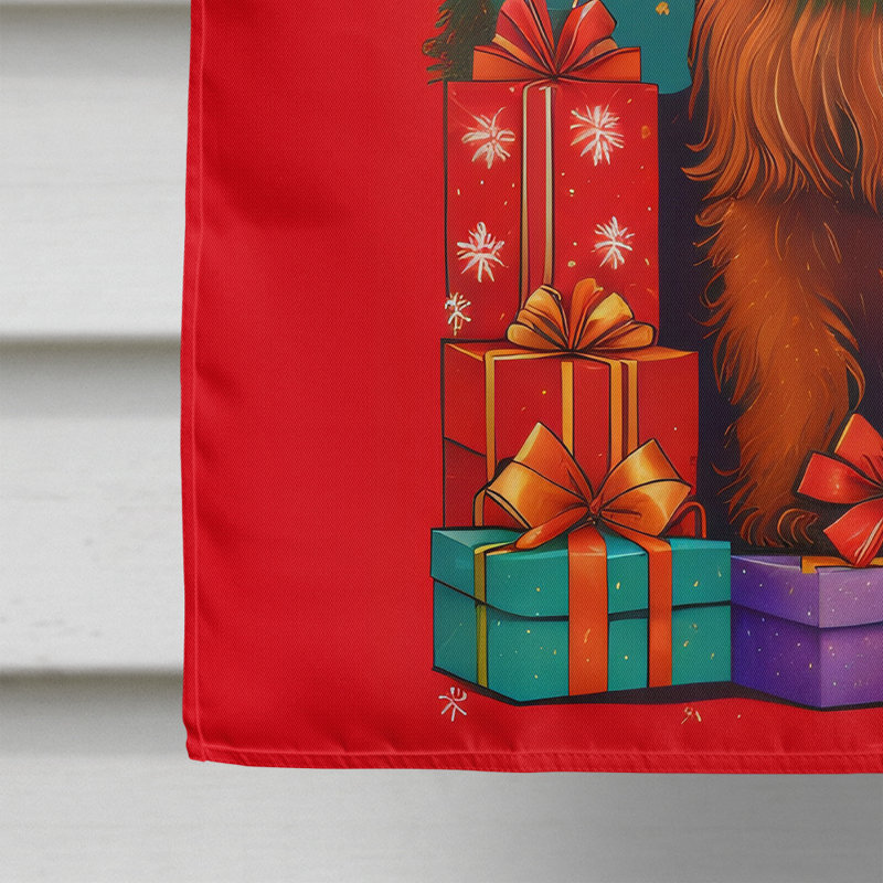 Double Sided 40'' H x 28'' W Polyester Christmas House Flag