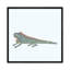 Iguana by Nic Squirrell - Wrapped Canvas Gallery-Wrapped Canvas Giclée-510384004-478617349