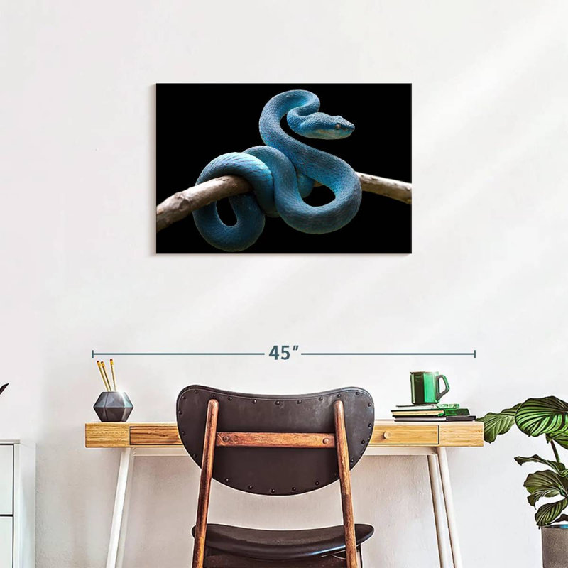 Brampt Blue Viper Snake, 20" H x 30" W
