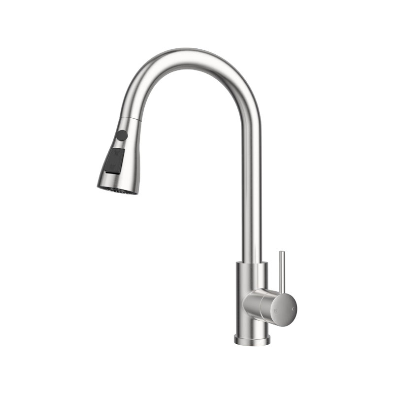 Brayden Studio Pull Out Kitchen Faucet