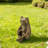 12''H MGO Bronze Squatting Frog Statue