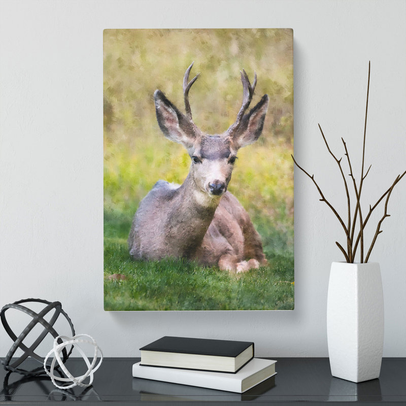 A Resting Deer - Wrapped Canvas, 60cm H x 40cm W x 3cm D